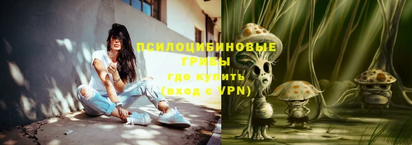 ПСИЛОЦИБИНОВЫЕ ГРИБЫ Белоозёрский