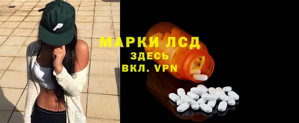прущие грибы Покачи