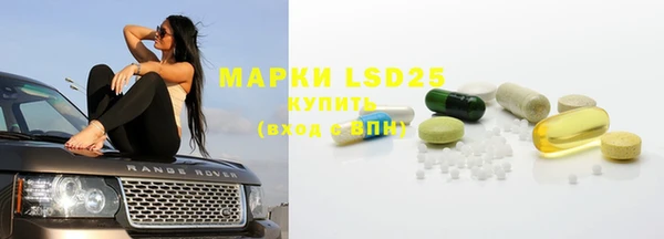 прущие грибы Покачи