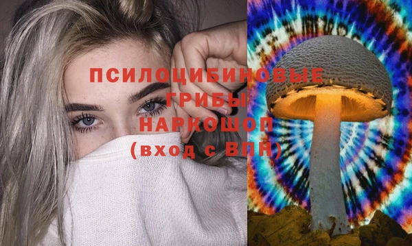 ПСИЛОЦИБИНОВЫЕ ГРИБЫ Белоозёрский