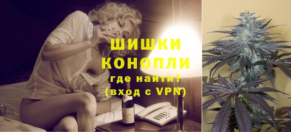 молекула духа Покров