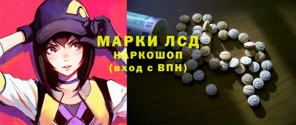 прущие грибы Покачи
