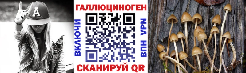 площадка состав  гидра ссылки  Шебекино  Галлюциногенные грибы мицелий 