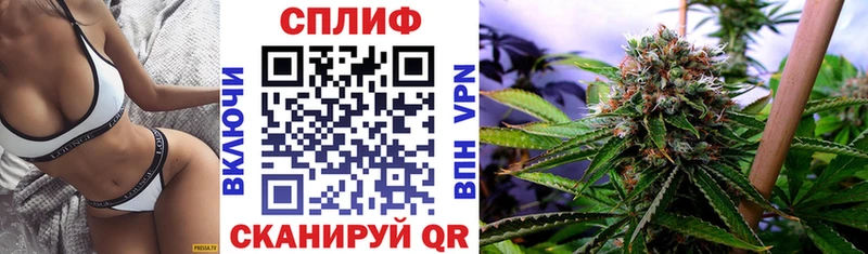 Марихуана планчик Шебекино